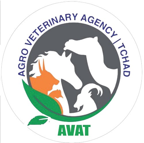 AVAT Logo